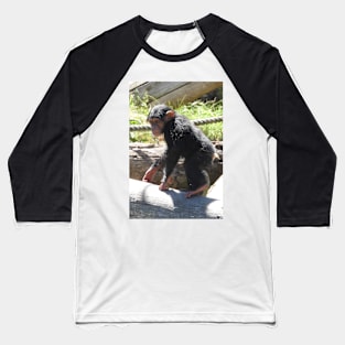 Baby Chimpanzee Baseball T-Shirt